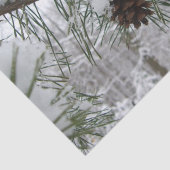 Winternaturfotografie von Snowy Pine Branch Seidenpapier (Ausschnitt)