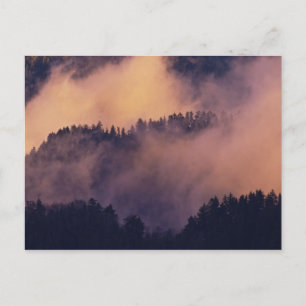 Winternebel im Tal bei Sonnenuntergang von Morton Postkarte
