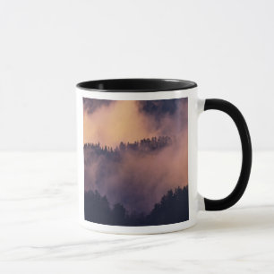 Winternebel im Tal bei Sonnenuntergang von Morton Tasse