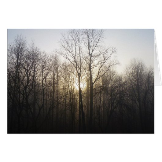 Winternebel Naturfotografie (Vorderseite (Horizontal))