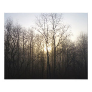 Winternebel Naturfotografie Fotodruck