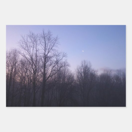 Winternebel Naturfotografie Geschenkpapier Set (Vorderseite 3)