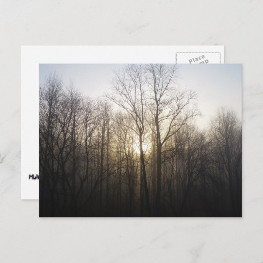 Winternebel Naturfotografie Postkarte (Vorne/Hinten)