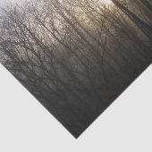 Winternebel Naturfotografie Seidenpapier (Ausschnitt)