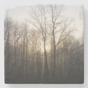 Winternebel Naturfotografie Steinuntersetzer