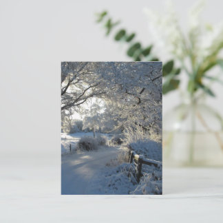 Winterniederschlag Postkarte
