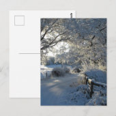 Winterniederschlag Postkarte (Vorne/Hinten)