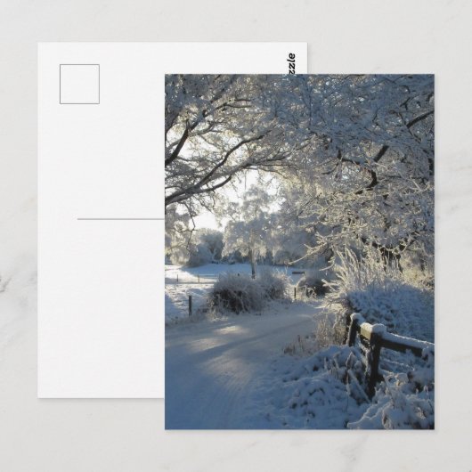 Winterniederschlag Postkarte (Vorne/Hinten)