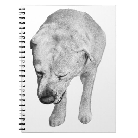 Winternoten mit schattiertem Labrador Notizblock (Vorderseite)