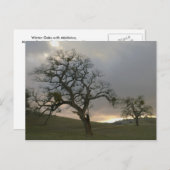 Winteroaks mit Mistletoe Postkarte (Vorne/Hinten)