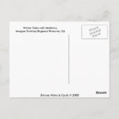 Winteroaks mit Mistletoe Postkarte (Rückseite)