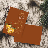 Winterorange-Scheiben getrocknete Babydusche Einla Einladung