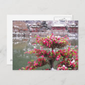 Winterpalast-Blume Postkarte (Vorne/Hinten)