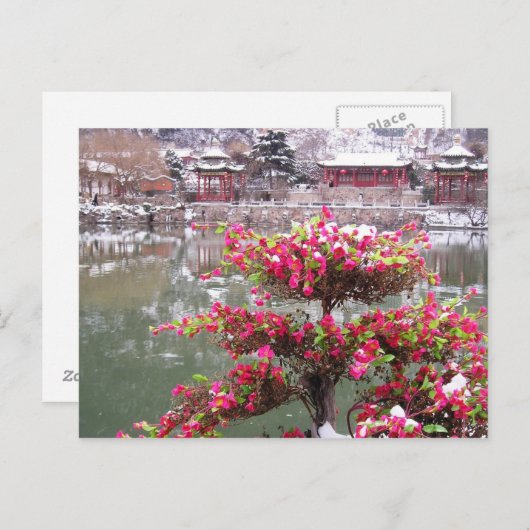 Winterpalast-Blume Postkarte (Vorne/Hinten)