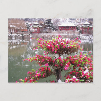 Winterpalast-Blume Postkarte