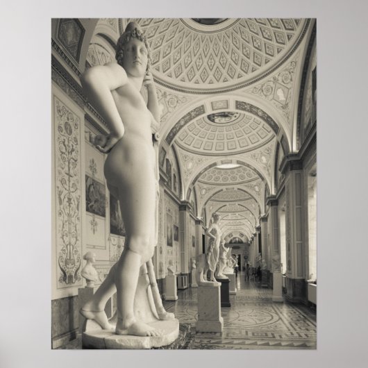 Winterpalast und Eremitage Poster (Vorne)