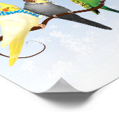 Winterparakets und Cockatiels Poster (Ecke)