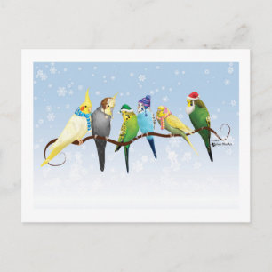 Winterparakets und Cockatiels Postkarte