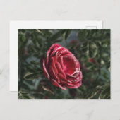 Winterparting-Postkarte Postkarte (Vorne/Hinten)