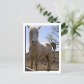 Winterpeitschperspektive Postkarte (Stehend Vorderseite)