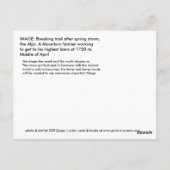 WINTERPFAD POSTKARTE (Rückseite)