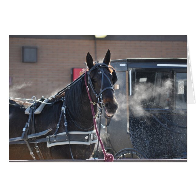 Winterpferd (Vorderseite (Horizontal))