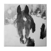 Winterpferd B&W Keramik Tile Fliese (Vorderseite)
