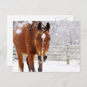 Winterpferd Feiertagspostkarte (Vorne/Hinten)