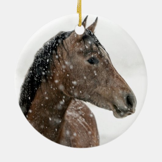 Winterpferd Keramik Ornament (Hinten)
