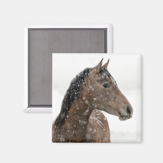 Winterpferd Magnet (Vorderseite/Rückseite)