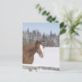 Winterpferd Postkarte (Stehend Vorderseite)