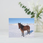 Winterpferd Postkarte (Stehend Vorderseite)