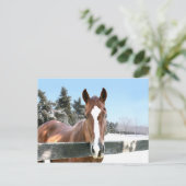 Winterpferd Postkarte (Stehend Vorderseite)
