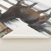 Winterpferd Sherpadecke (3/4)