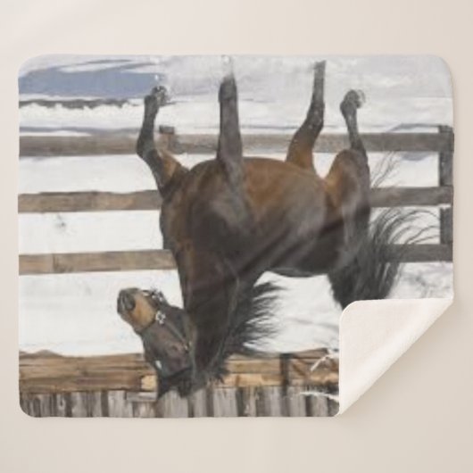 Winterpferd Sherpadecke (Vorderseite (Horizontal))