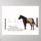 Winterpferd & Skulptur 11x14 Matte Poster (Vorne)