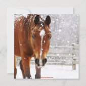 Winterpferd Weihnachtsfest Party Einladung (Rückseite)