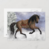 Winterpferde Fantasy Art Postkarte (Vorne/Hinten)