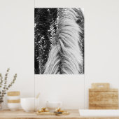 Winterpferde mit Schnee Poster (Küche)