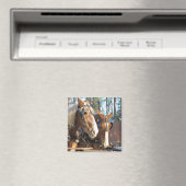 Winterpferde Sturbridge Village Magnet (In Situ (Geschirrspüler))