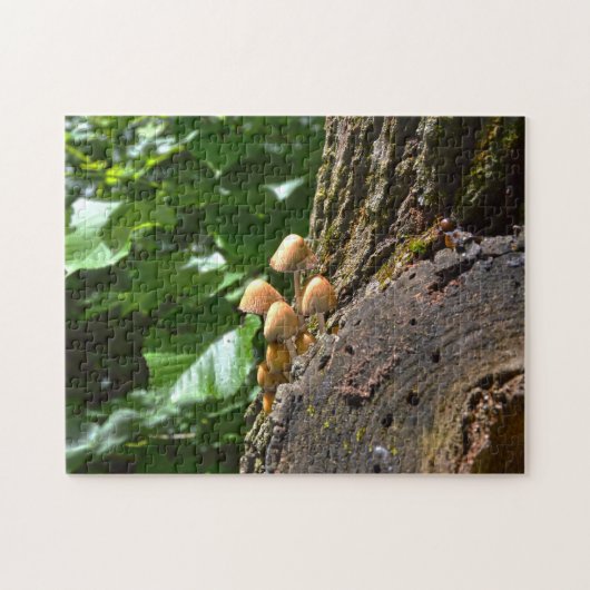 Winterpilze Kanada. Puzzle (Horizontal)