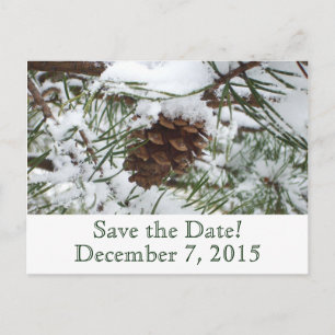 Winterpine Save the Date Postkarte