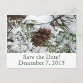 Winterpine Save the Date Postkarte (Vorderseite)