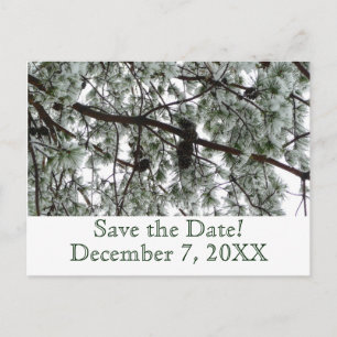 Winterpine Save the Date Postkarte