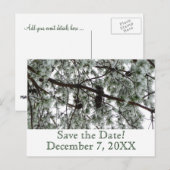 Winterpine Save the Date Postkarte (Vorne/Hinten)