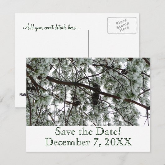 Winterpine Save the Date Postkarte (Vorne/Hinten)