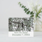 Winterpine Save the Date Postkarte (Stehend Vorderseite)