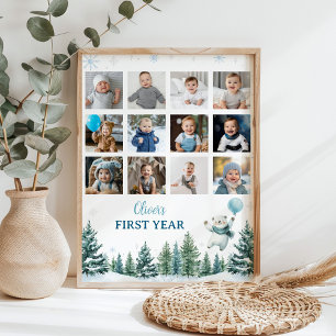 Winterpolarbär Foto Meilenstein Zeichen Poster