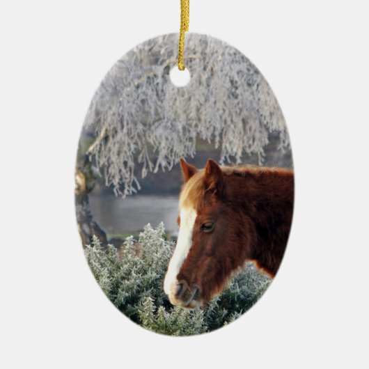 Winterponyverzierung Keramikornament (Vorne)