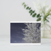 Winterpostkarte Postkarte (Stehend Vorderseite)